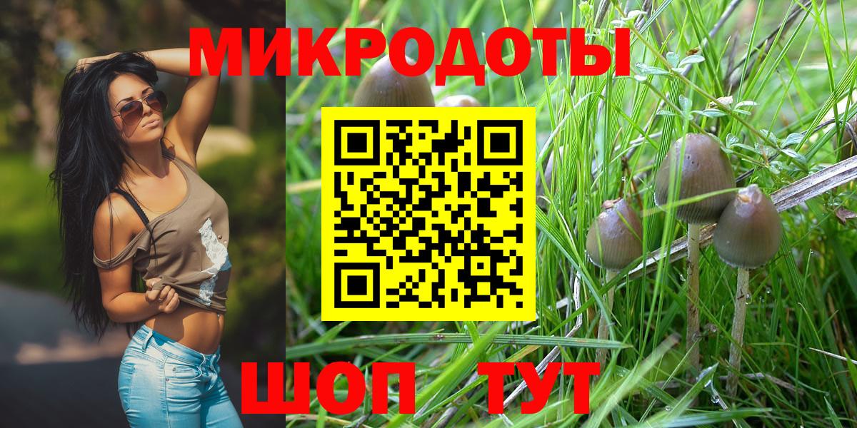 Галлюциногенные грибы Psilocybine cubensis  Вход с VPN  Ржев  Псилоцибиновые грибы Cubensis 