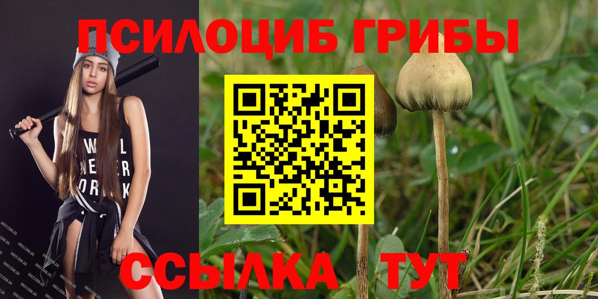Галлюциногенные грибы прущие грибы Ржев